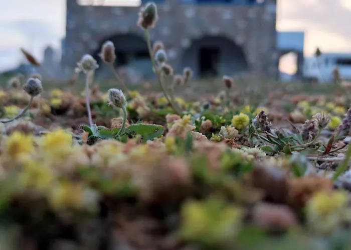 Aura Paros アパート ロガラス