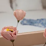 Apartament Aura Paros
