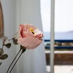 Aura Paros Διαμέρισμα