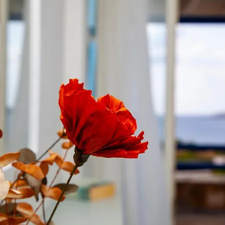 Aura Paros * Λογαράς