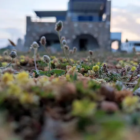 Aura Paros Apartment Logaras