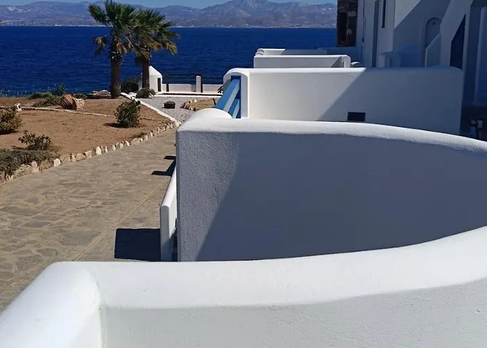 Aura Paros * Logaras
